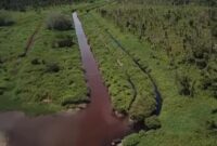 Foto : Tiga Kanal Limbah Industri diduga milik APRIL Group di Sungai Desa Sering.