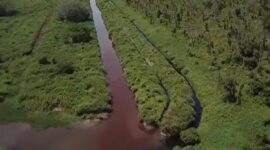 Foto : Tiga Kanal Limbah Industri diduga milik APRIL Group di Sungai Desa Sering.